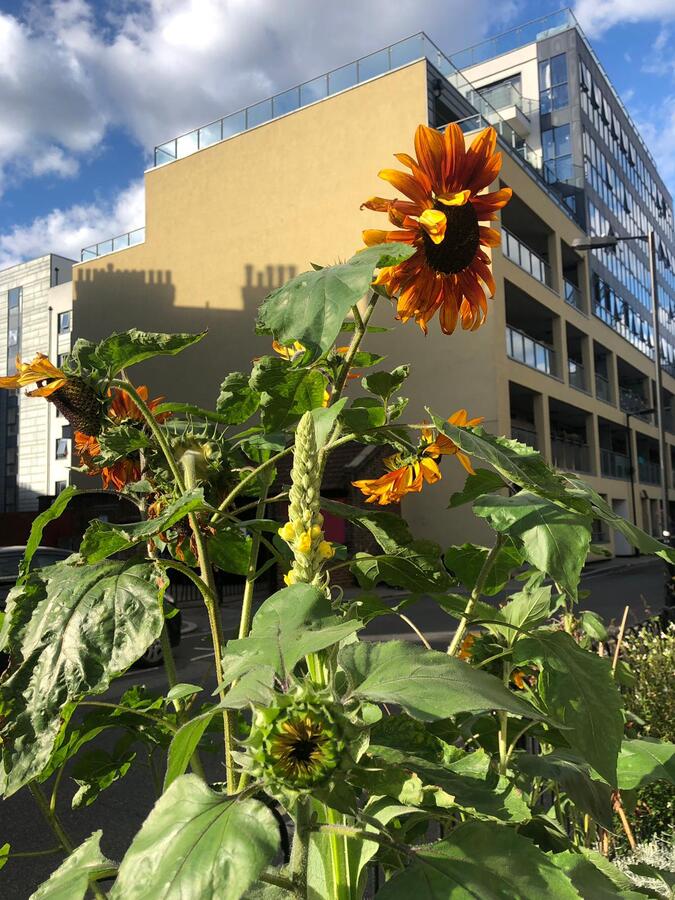 Photo from debmitchener(7)